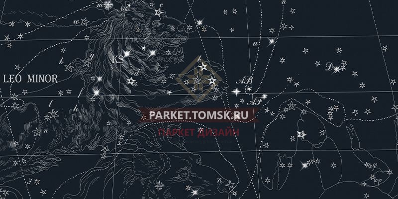 Пробковое покрытие Corkstyle Black Stars
